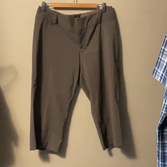 Women's Brown Capris - Picture 1 of 6